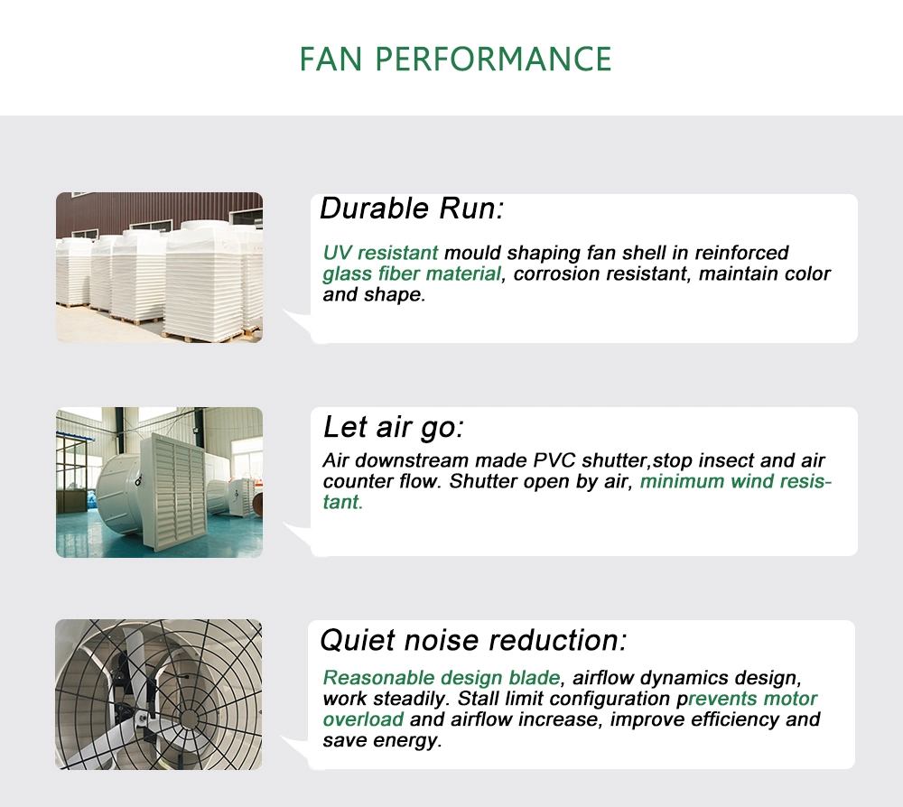 China High Temperature Exhaust Fan Factory Electric Fan for Greenhouse Workshops &Livestock Farms