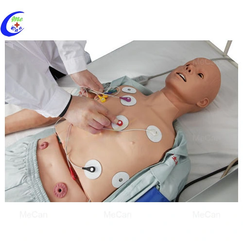Medical Science Subject Comprehensive Skills Full Body CPR Training Manikin