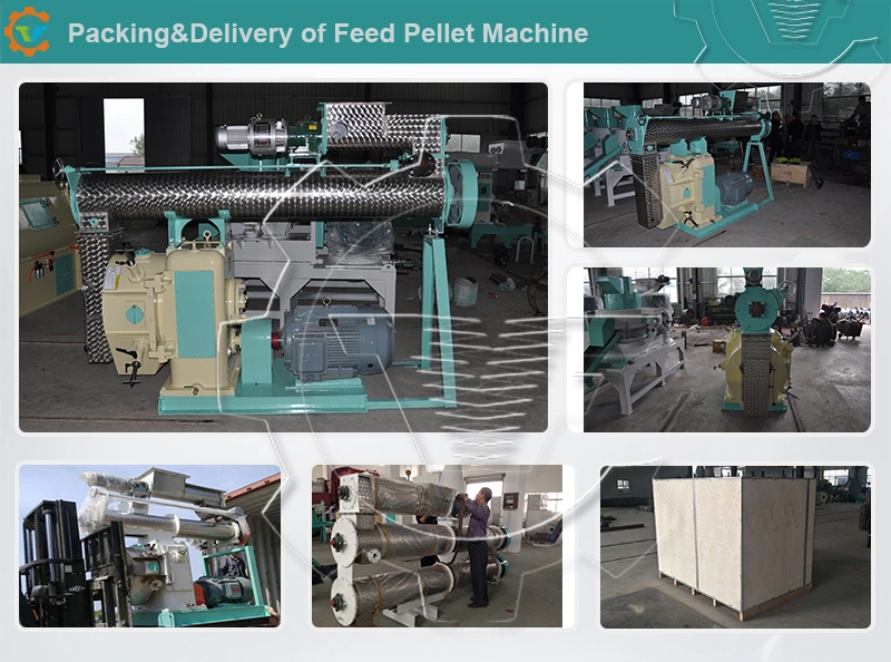 Automatic Turnkey Solution Poultry Equipment for Poultry Farm