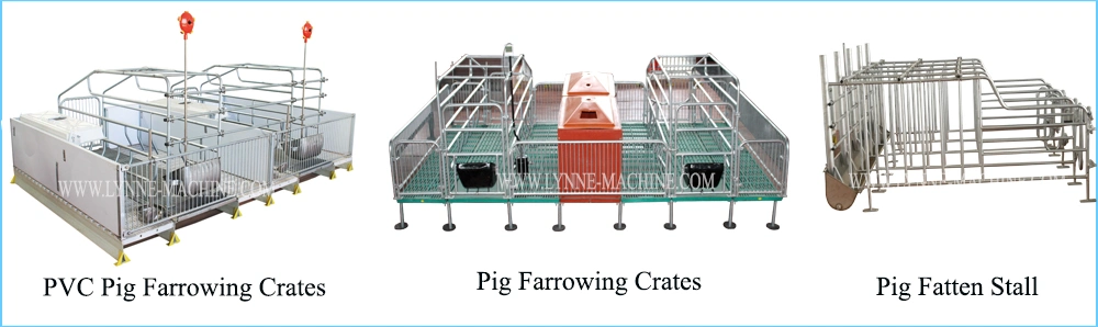 Automatic Plastic Hopper Pig/Sow/Piglet Feeders China Manufacturer