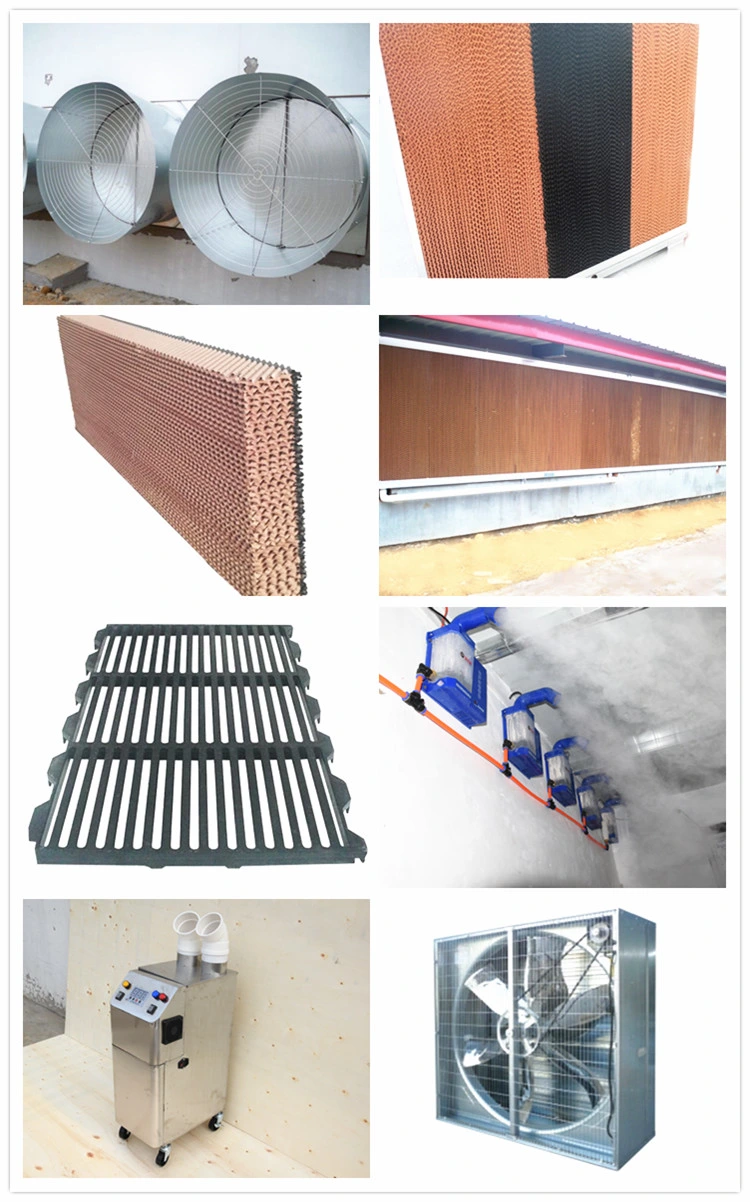 Automatic Double Side Fattening Pig Feeder Stainless Steel Trough for Pigs