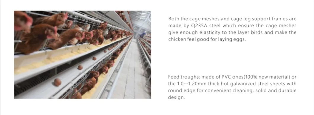 Chicken Raising Equipment Layer Poultry Cage and Equipment