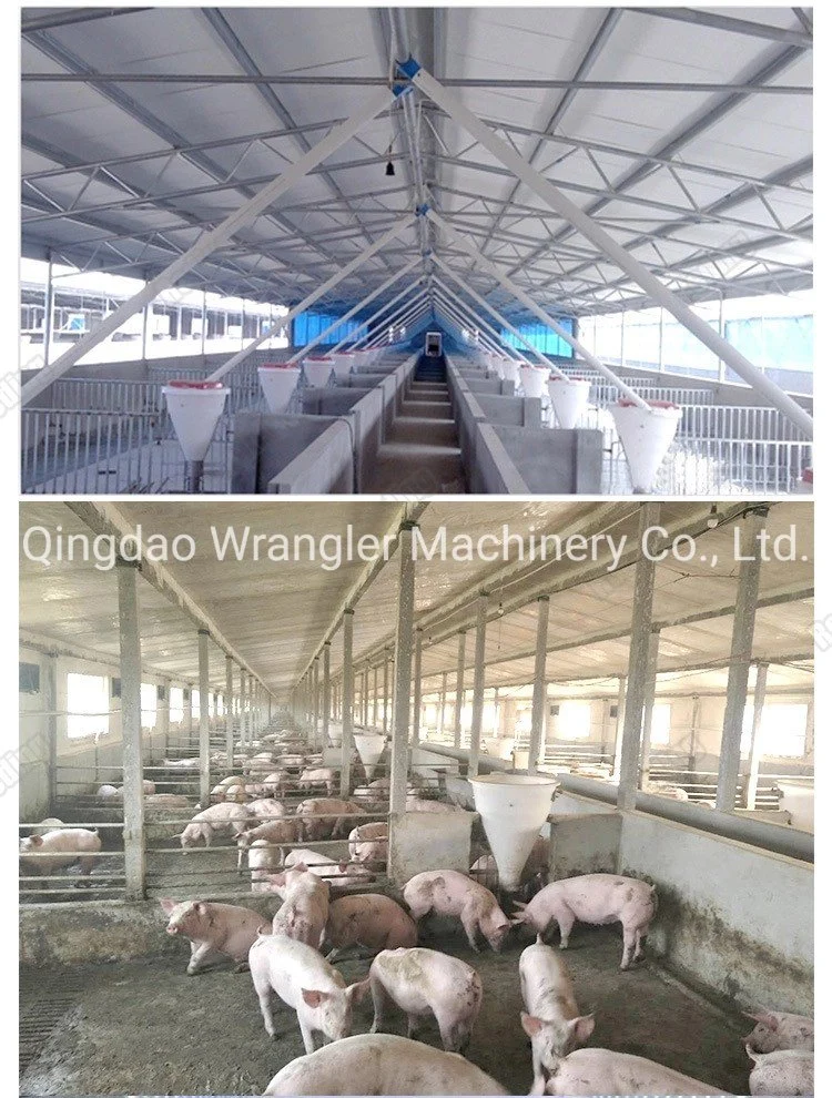 Pig Farming Equipment Plastic Pig Feeder Wet and Dry Feeder Trough