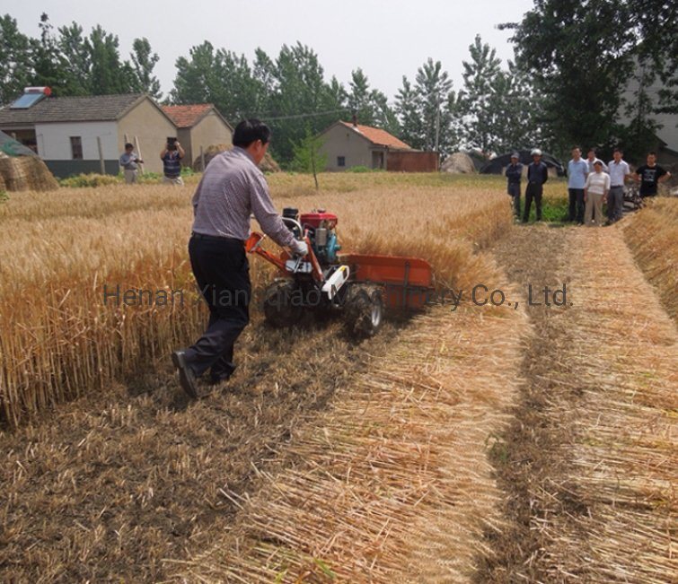 Diesel Engine Wheat Rice Mini Harvester Hand-Held Harvester Mini Harvester