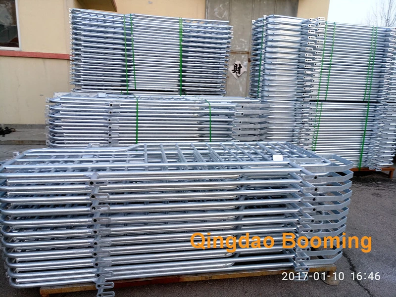 Hot-DIP Galvanized Material Pig Gestation Crate