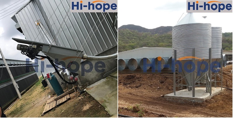 High Efficient Automatic Chicken Feeding System Silo for Poultry House