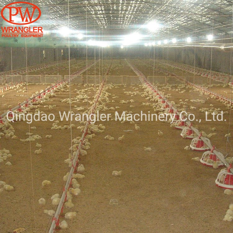 Automatic Poultry Pan Feeder Equipment for Chicken Farm