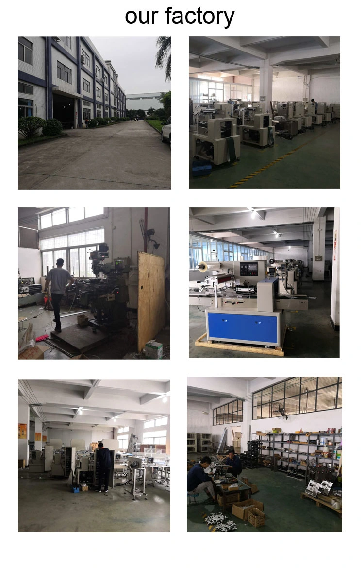 Food Feeding and Packing Machine Line with Plastic Tray