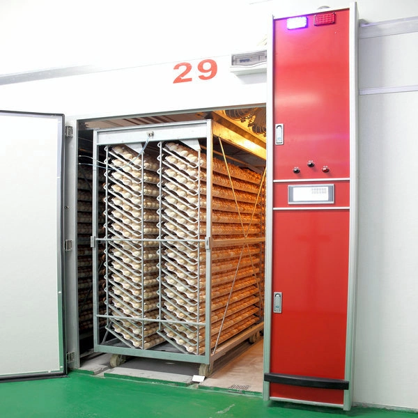 Chicken Egg Hatching Incubator, Automatic Incubator 4224 Eggs