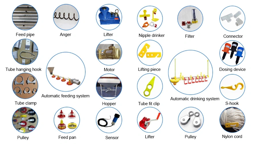 Chicken Feeding and Drinking Line Automatic Feeding System Feeding Pan Poultry Coop Watering Equipment