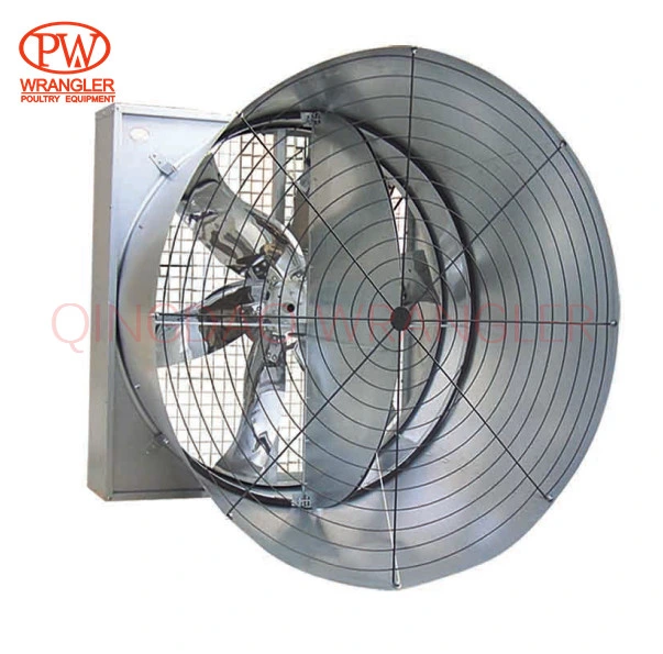 Poultry Farms Automatic Poultry Feeding System Auger Pan Feeder Line Equipment