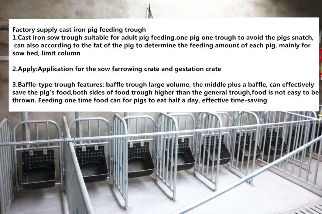 Automatic Cast Iron Pig Feeding System Sow Feeder Trough for Pig Farming Equipment