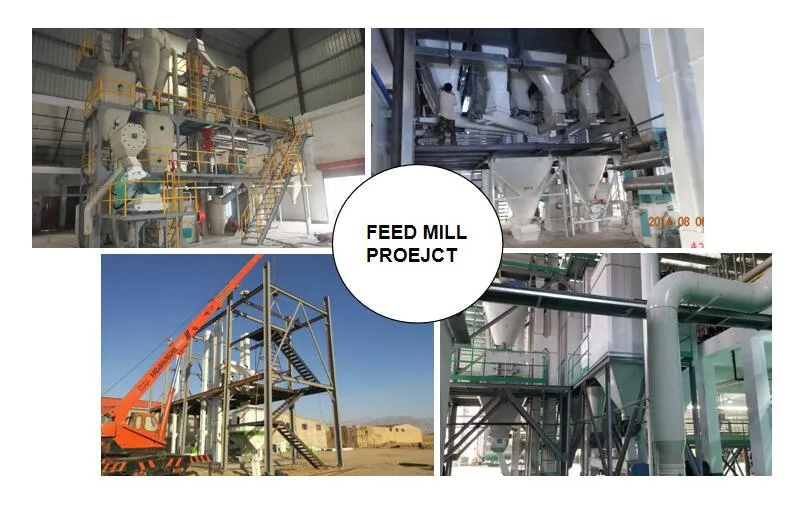 Ring Die Poultry Feed Pellet Making Machine for Sale/Poultry Equipment/ Best Feed Machine in Chaina