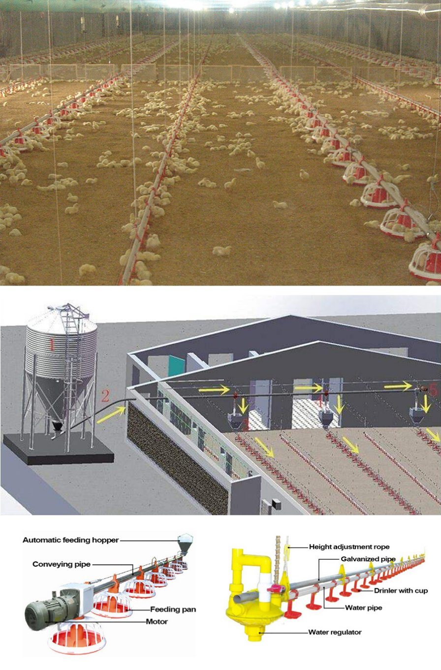 Poultry Farming Equipment Flooring Raising System for Broiler with Automatic Feeding Pan Line