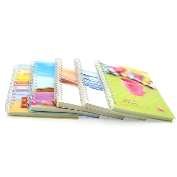 Chinese Supplier Spiral Bound Notebook with Color Pages