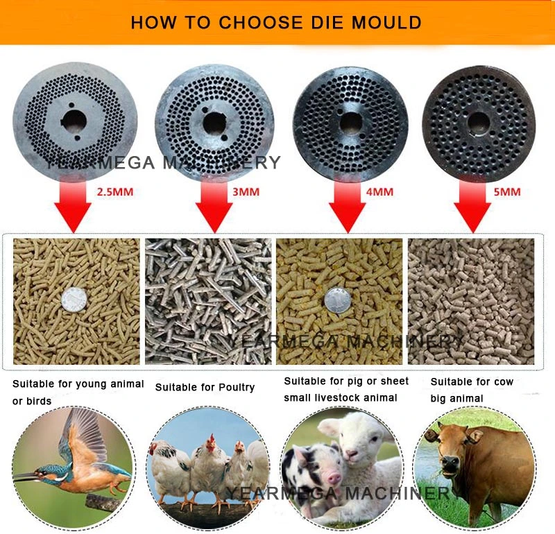 Reliable Manufacturer Livestock Feed Pig Feed Making Machine From China