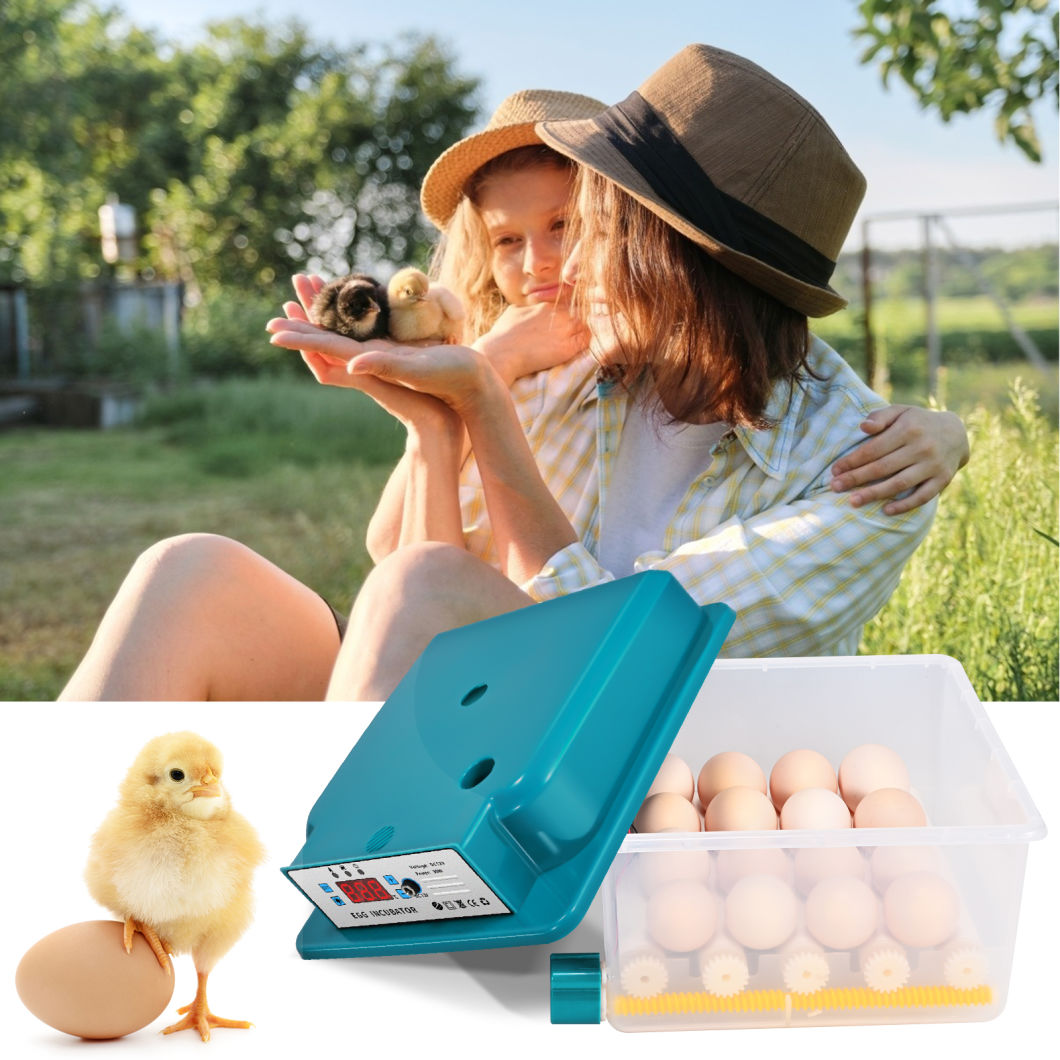 16 Automatic Double Electric Egg Incubators Mini Automatic Incubator with Flipper Used to Hatch Goose and Quail Eggs Egg Incubator