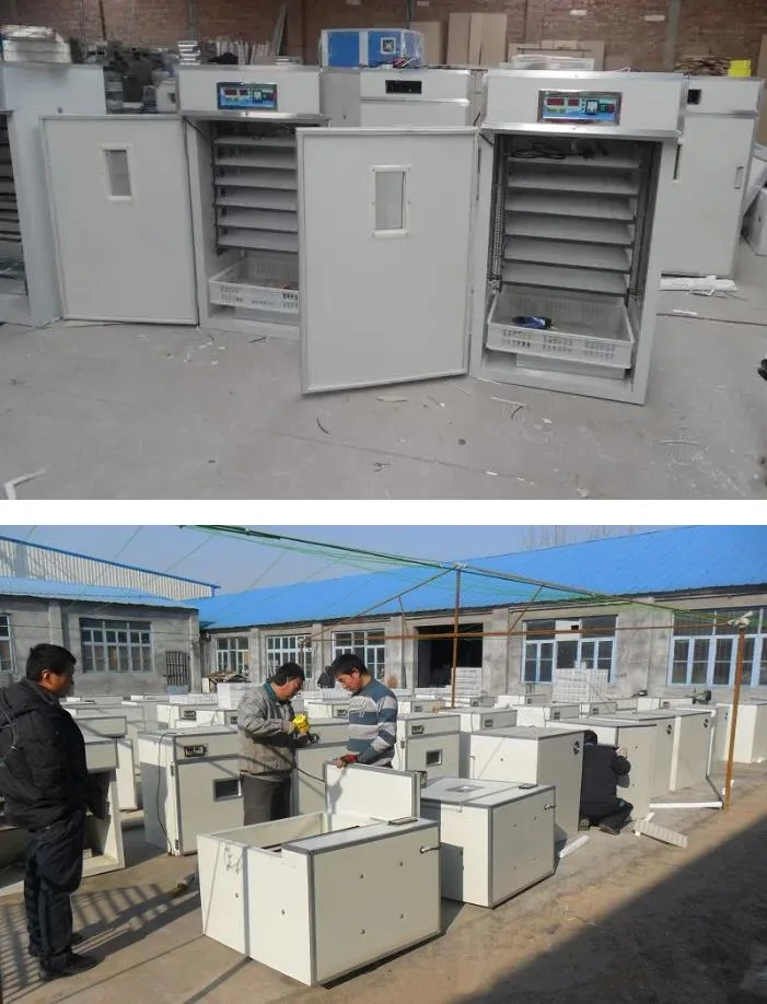 Customized Large Capacity Automatic Poultry/Chicken/Quail/Duck/Goose/Ostrich/Pigeon Egg Incubator