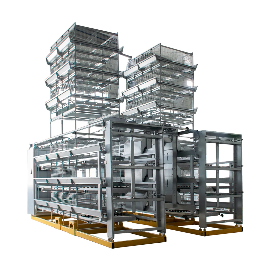 Automatic Egg Collection System Poultry Farm Equipment Layer Chicken Cage
