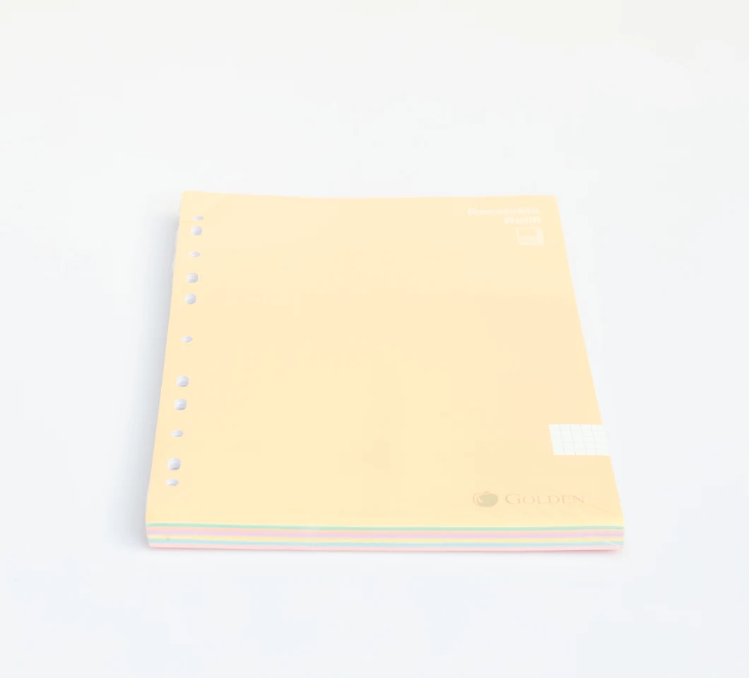 Custom Selling Spiral Paper School Professional Notebook