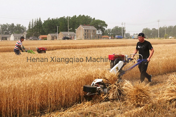 Handle Small Type Diesel Engine Wheat Rice Harvester Grain Harvester