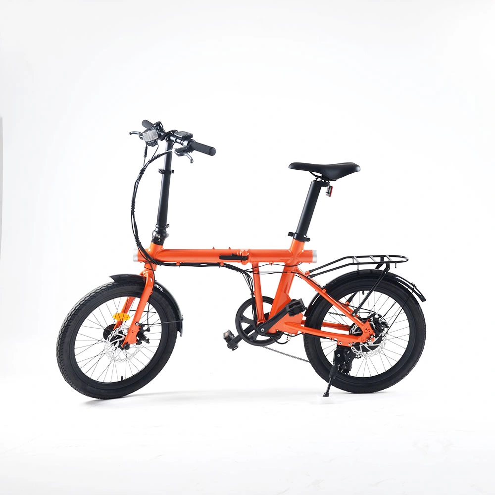 Light Weight 250W Motor Electric Bicycle Fold E Bike with Hidden Battery