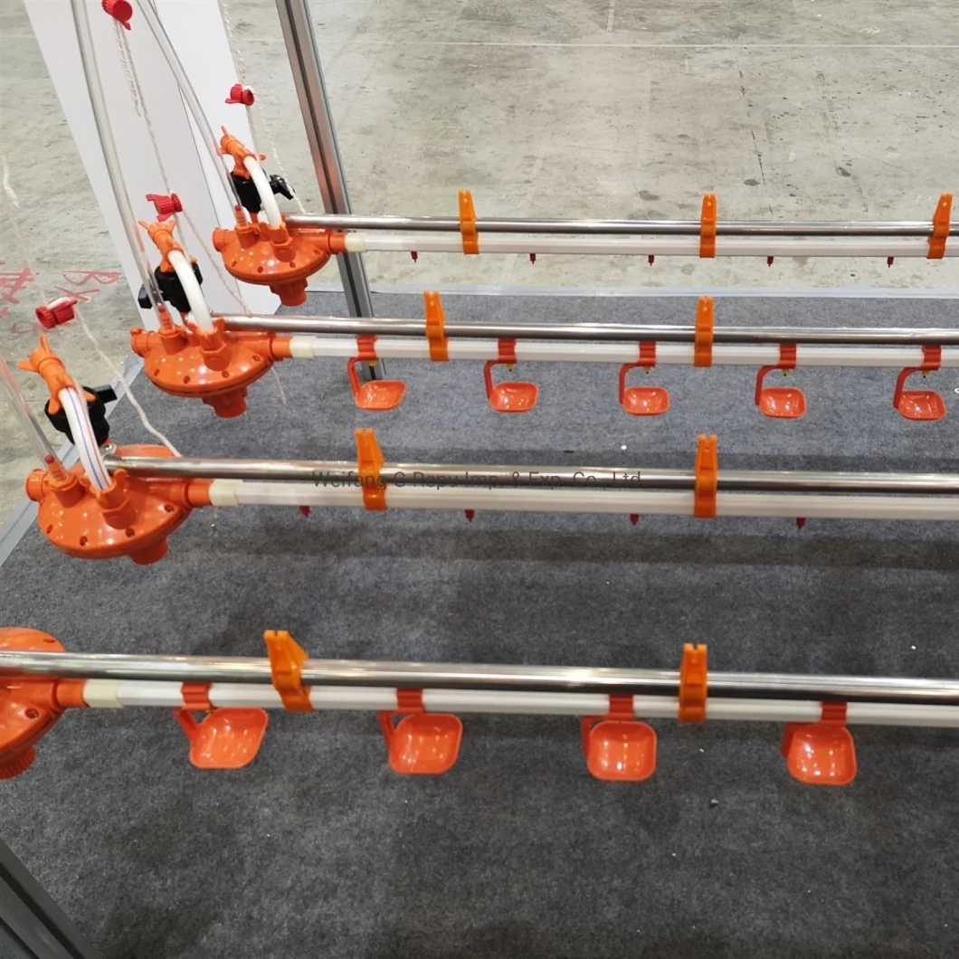 Automatic Nipple Drinking Line System for Broiler Chicken Farm