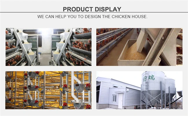 Automatic Chicken Cage Poultry Farm Feeding Equipment Feeder Machine for Chickens