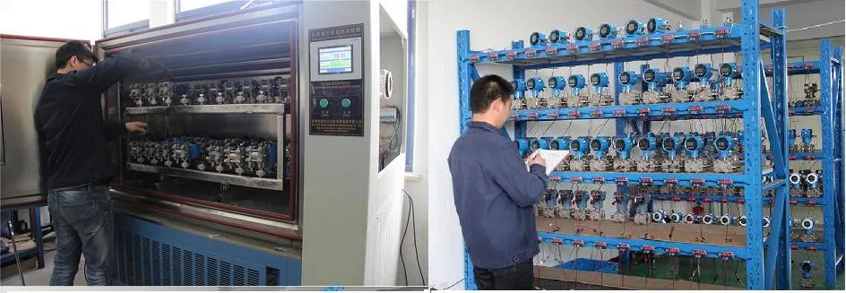 Smart PT100 High Accuracy Digital Small Temperature Transmitter Module-Factory Price