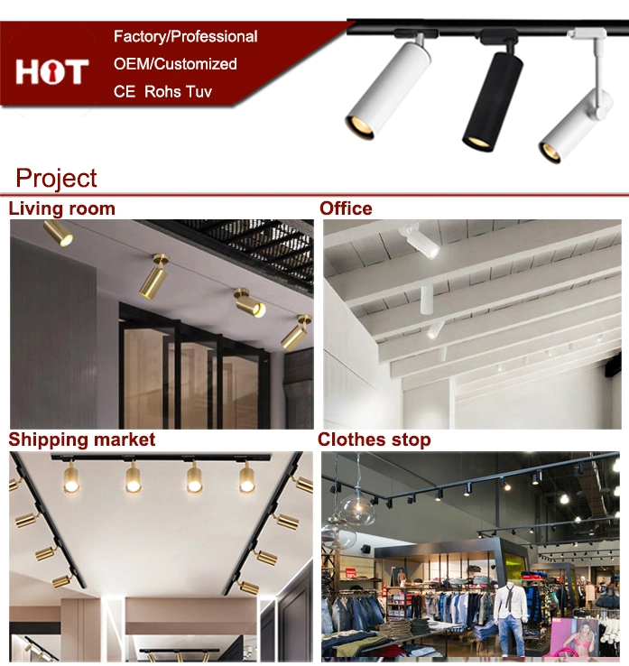 4W-10W Modern Fixture Surface Ceiling Spot Lighting System Rail COB LED Ceiling Spot Lights