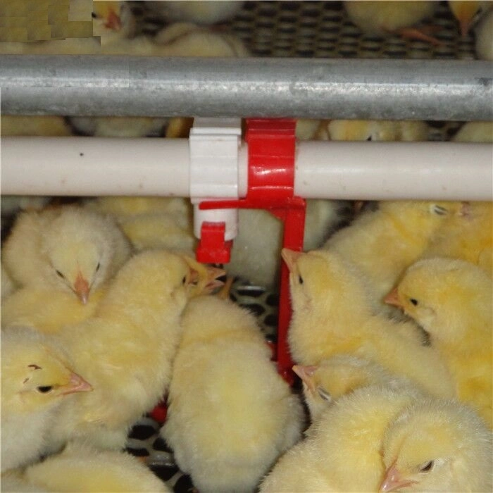 Agricultural Equipment Plastic Chicken Feeder Feeding Bowl for Sale