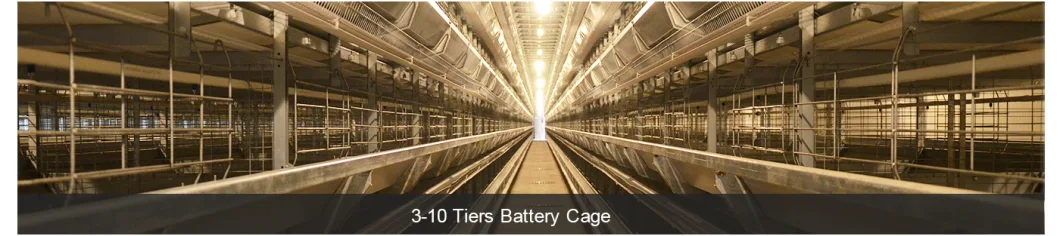 Poultry Cage Battery Chicken Layer Cage Automatic Chicken Cage