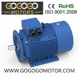 Yt Special Three Phase AC Asynchronous Electrical/Electric Motor for Animal Husbandry Fan with CE