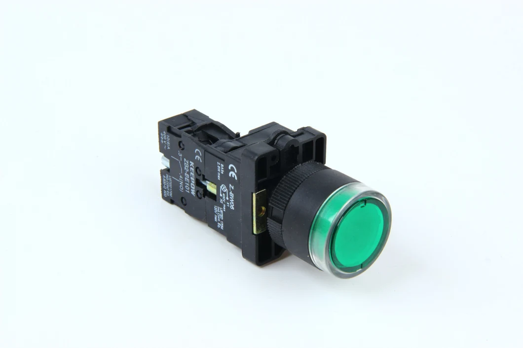 LED Momentary Push Button Switch
