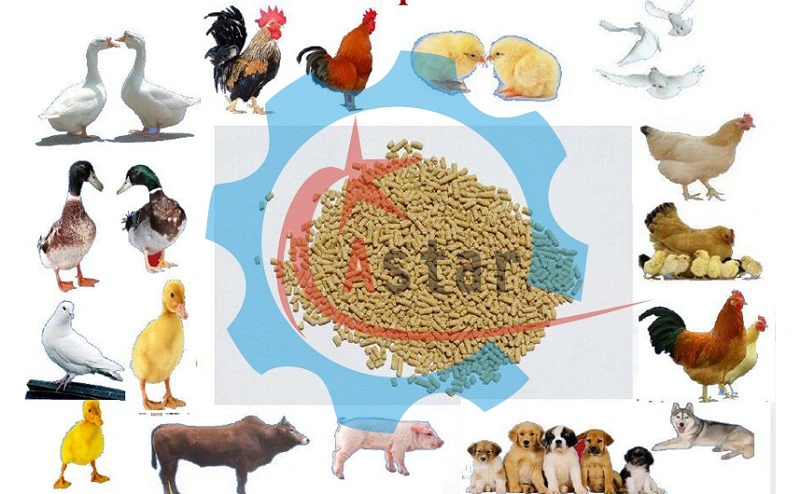 1-20t/H Stainless Steel Chicken Livestock Cattle Pig Fish Poultry Feed Pellet Making Machine