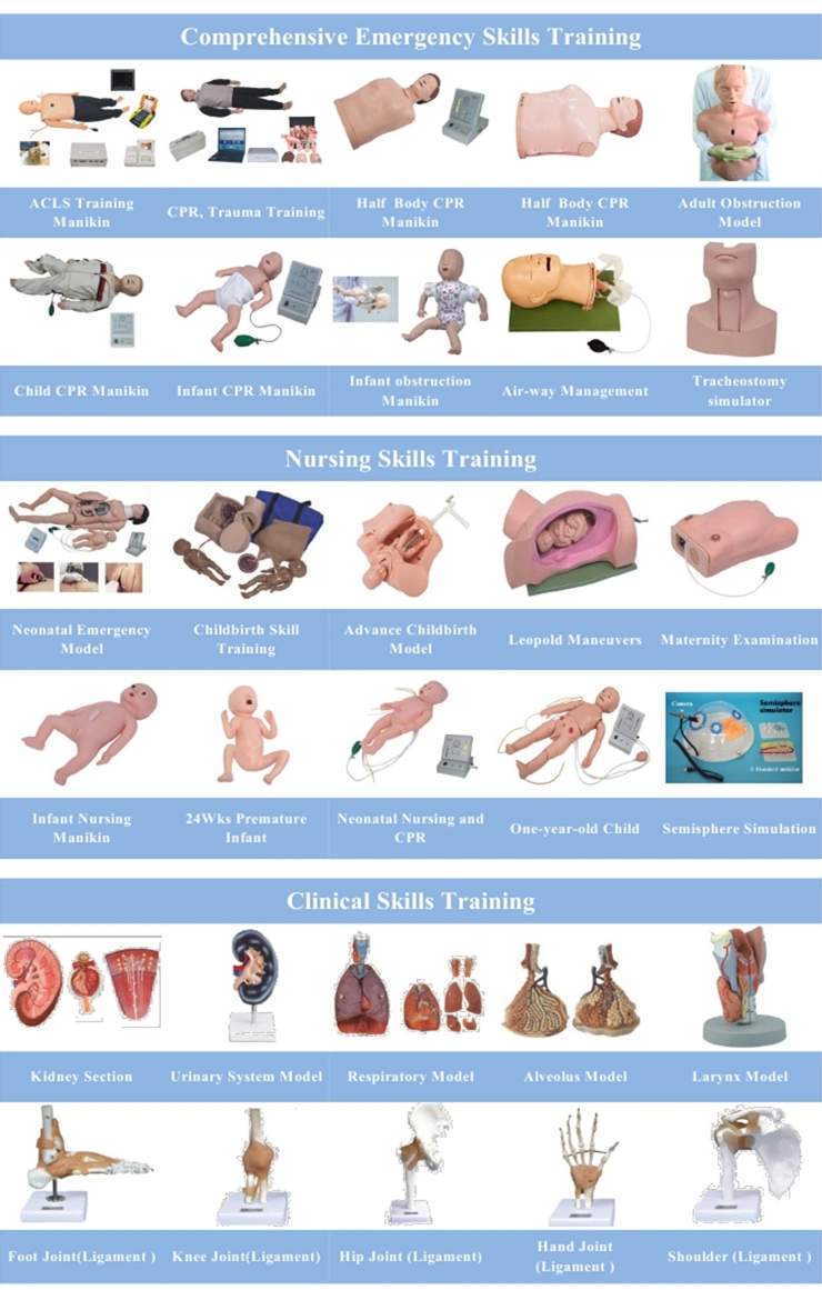 Medical Science Subject Comprehensive Skills Full Body CPR Training Manikin