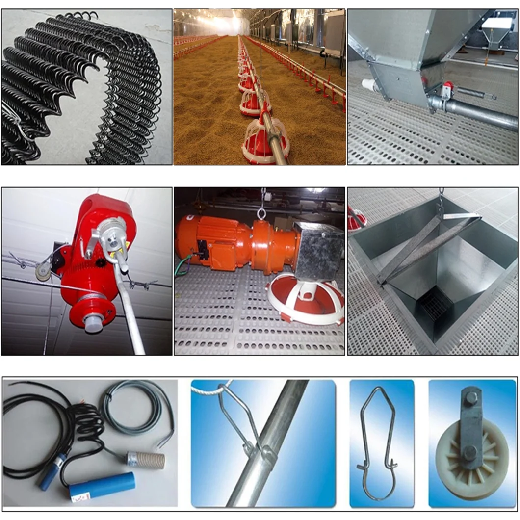 Broiler Farm Equipment for Poultry Shed/Chicken Feeder Pan Equipment