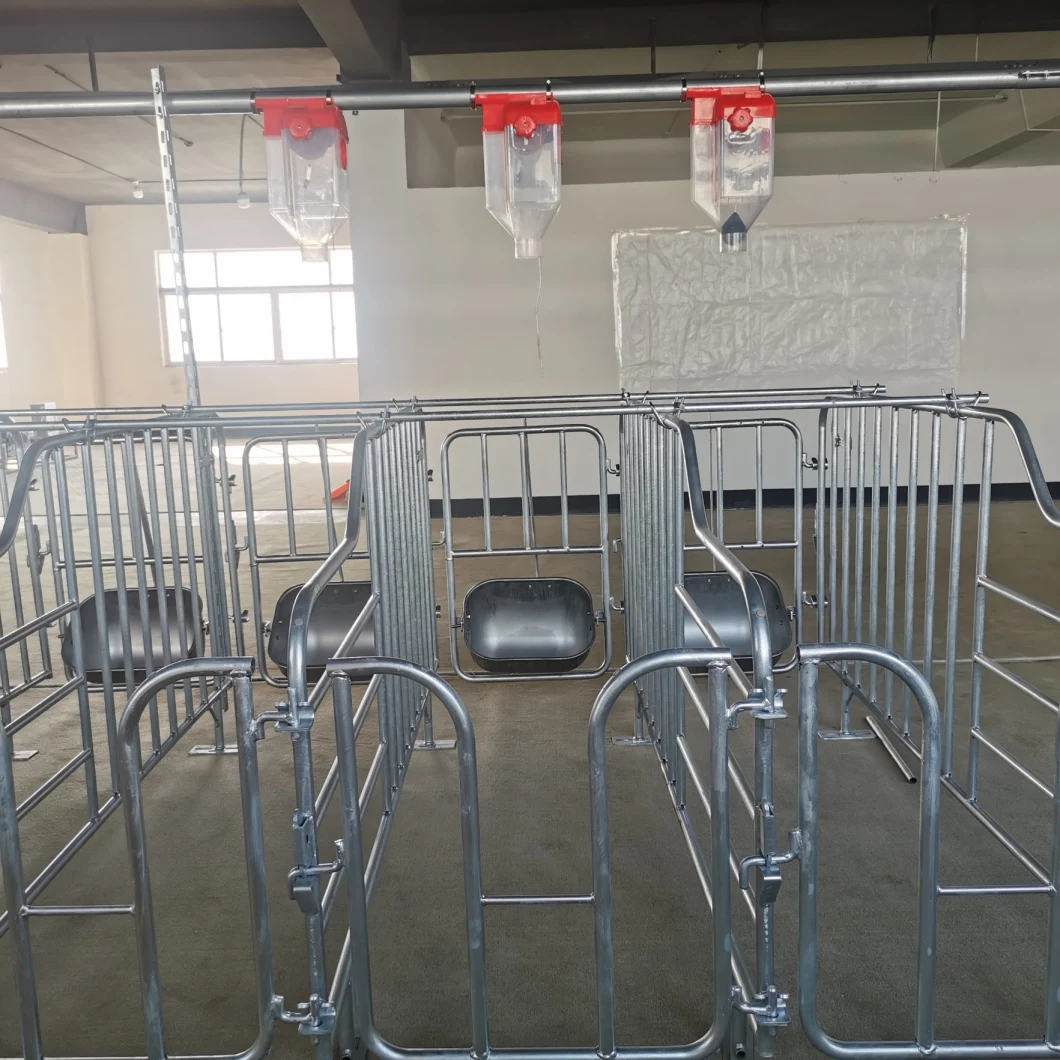 2021 New Product Swine Farm Breeding Crate/Pig Farming Gestation Stalls