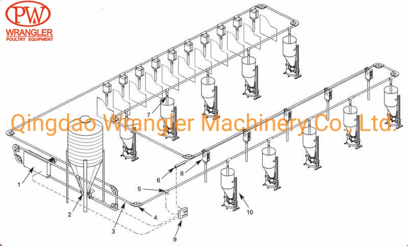 Pig Finish Stall Individual Stall Single Farrowing Crate Double Crate Sow Crate Pig Weaning Stall