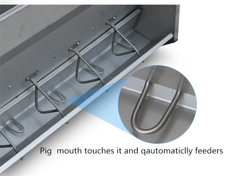 Stainless Steel Automatic Fattening Pig Trough Automatic Fattening Pig Trough