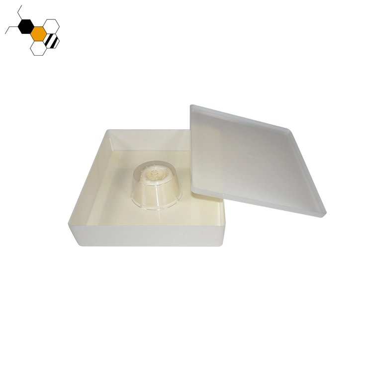 High Quality New Bee Top Feeder Plastic Bee Feeder for Beekeeping