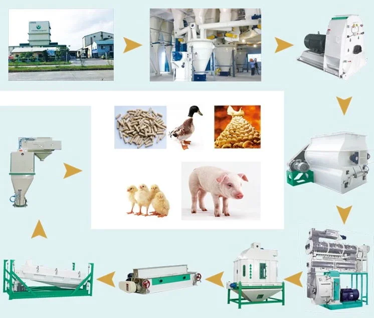 Floating Fish Feed Extruder Animal Feed Pellet Machine Corn Extruding Pig Feed Production Line