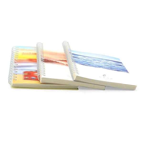 Chinese Supplier Spiral Bound Notebook with Color Pages