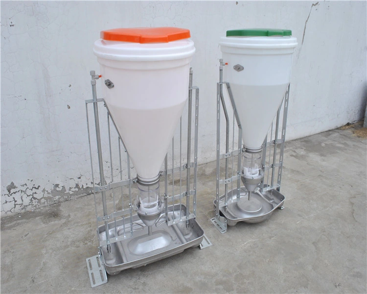 Pig Dry-Wet Automatic Plastic Feeder and Stainless Trough