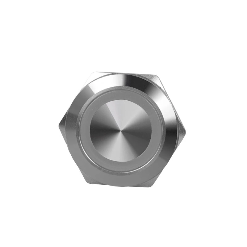19mm Dpdt Momentary Flat Button Ring Illuminated Waterproof Metal 2no 2nc Push Button Switch