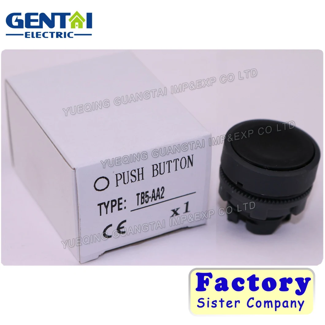 Tb5-AA2 Flush Push Button Switch Wholesaler Red Black Button Head