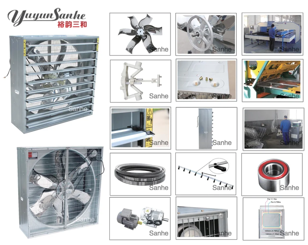 Exhaust Fan/Ventilation Fan/Industrial Exhaust Fan/Green House Fan/Blower/Poultry Farming Equipment
