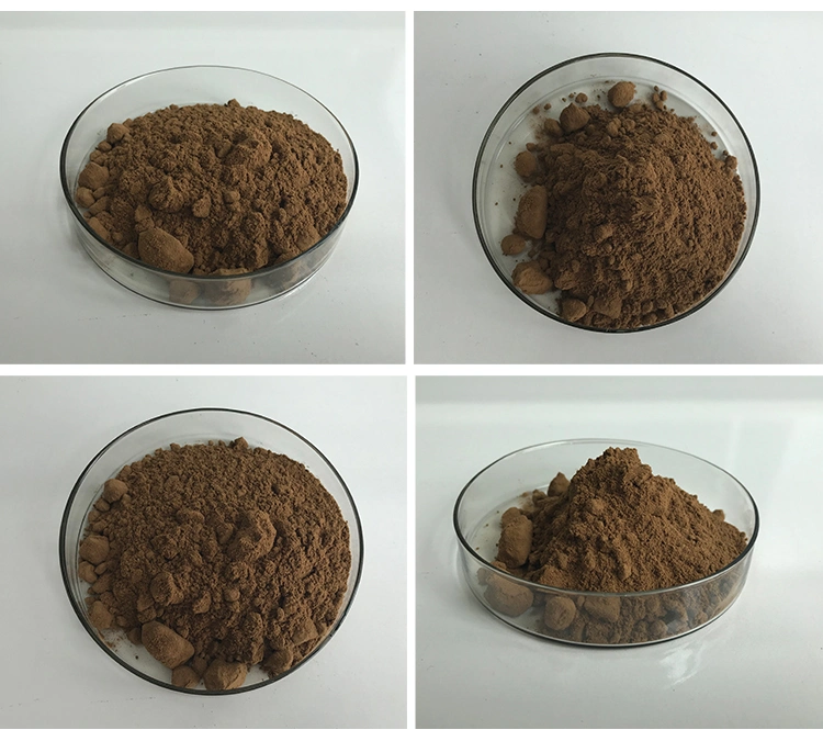 Supply Pure Chaga Powder Polysacchrides Chaga Mushroom Extract