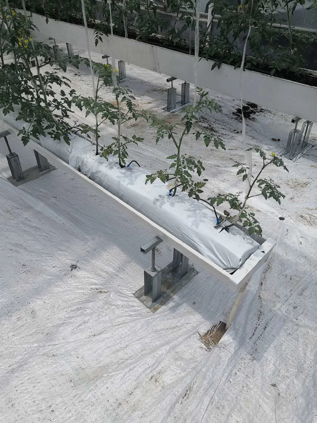 Growth Troughing/New Designed Hydroponic Trough Plastic Nft Trays Growing System