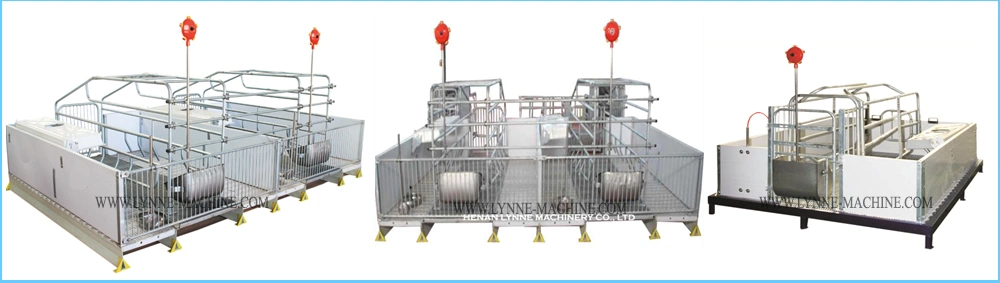 Livestock Stainless Steel Pig Sow Piglet Feeder From China Manufacturer